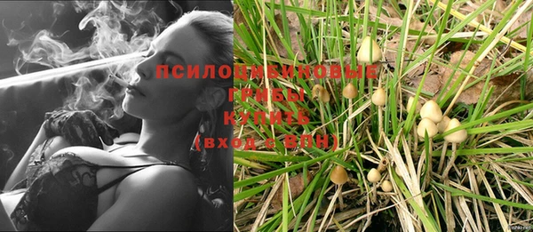 гидропоника Алексеевка