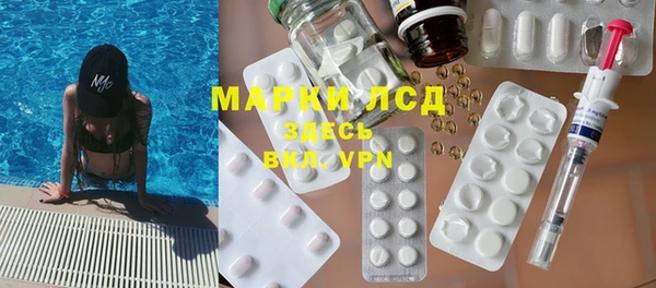 тгк Алзамай