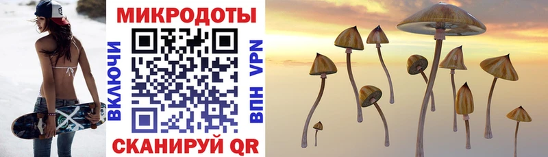 купить  цена  Усмань  Галлюциногенные грибы Magic Shrooms 